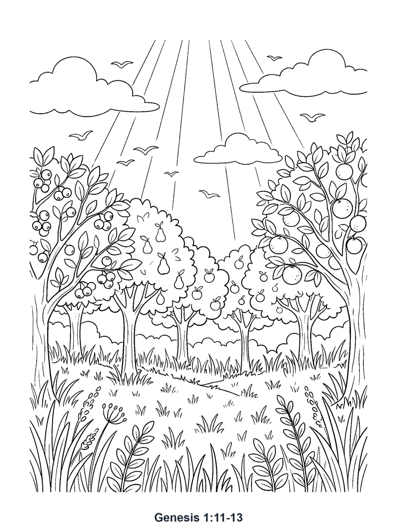 Genesis 1:11-13 Coloring Page